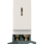Polar White 10Ax DP Keyswitch Module