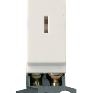 Polar White 10Ax DP Keyswitch Module