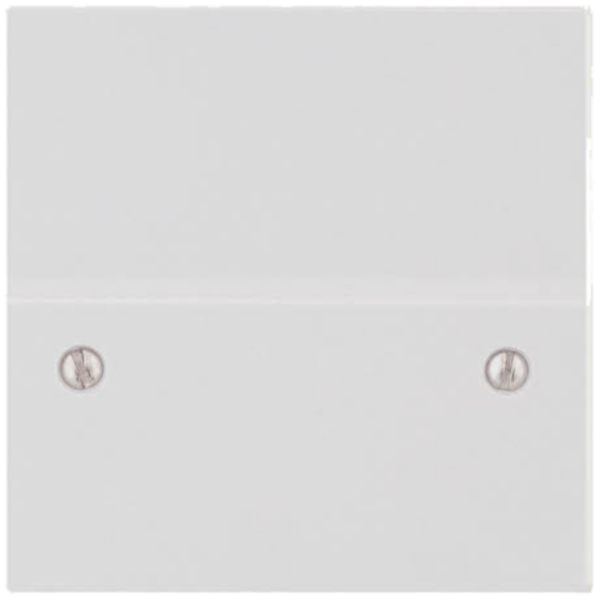 Selectric White 45A Cable Connector