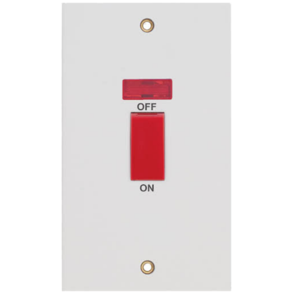 Selectric White 2 Gang 45A DP Vertical Switch Neon