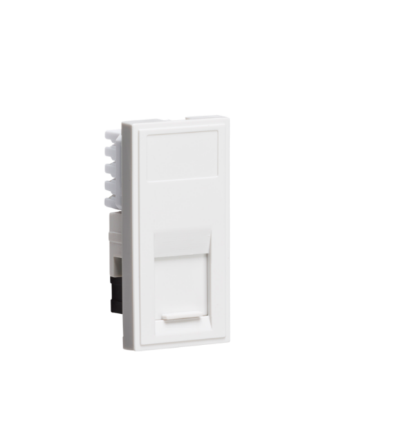 White Cat6 Euro Module