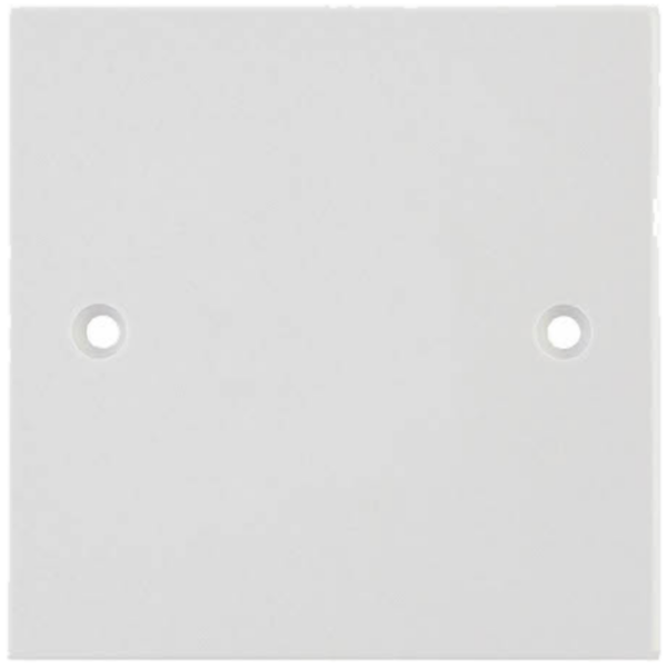 Selectric White 1 Gang Blank Plate