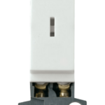 Click White 10Ax DP Keyswitch Module