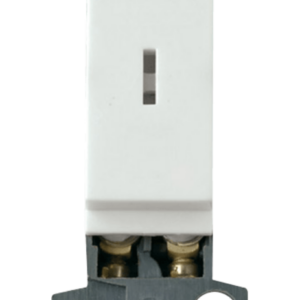 Click White 10Ax DP Keyswitch Module