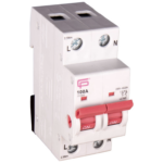 FuseBox 100A DP Mainswitch