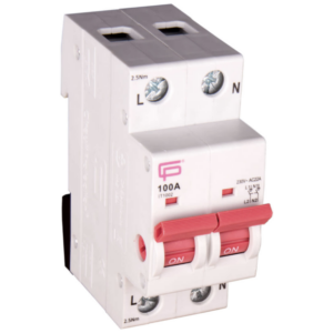 FuseBox 100A DP Mainswitch