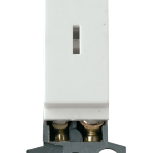 White 2 Way 10Ax Keyswitch Module