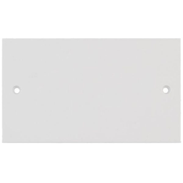 Selectric White 2 Gang Blank Plate